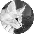 Avatar de Frederic.a