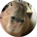 Avis de Capybara.a avec une note de 5 sur 5