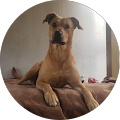 Avatar de Stéphanie.e