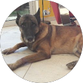 Avatar de VIVIANE.