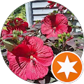 Brian K. Stevens & Associates - Woodstock, Illinois