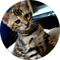 Avatar de Sylvie.u