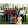 srpclassmates's profile photo