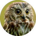 Avatar de Isabelle.o