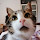 Patrick Navin's profile photo