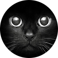 Avatar de BILLY.n
