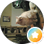 Raylinn S. Avatar