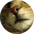 Avatar de Florian.o
