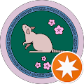 Nanami Yamamoto