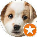 Matthew T.'s profile image