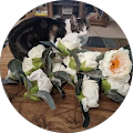 Burlap and Lace Event Decor Rentals - Arrowsmith, Illinois