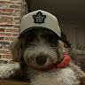 Photo of Kian Daigle