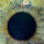 benson.ch...@gmail.com's profile photo