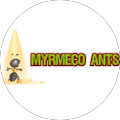 Avis de MyrMeco.n avec une note de 1 sur 5