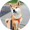 User profile - Jeff H.
