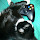 Kardain's profile photo
