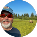 Bear Viewing in Alaska - Homer, Alaska