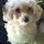 Myrton Smith's profile photo