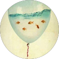 Avatar de Laura.o