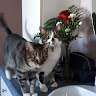 Photo de Claire Dubreuil