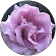 Kate Gmail