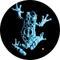 Avatar de Romain.O