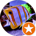 Aquarienliebe - Dieterle Teich- und Gartenbau - Lauchringen