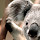 wfuqi...@gmail.com's profile photo