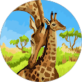 Avatar de Wesh_man.