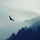 David Hwang's profile photo