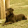 dtm1...@gmail.com's profile photo