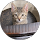 Alexia Banca profile picture