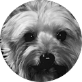 Avatar de Sandrine.e