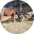 Guerrero Cereales. Almacén Mercancías. - Coín, Málaga