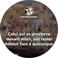 Avis de Mohamed.a avec une note de 5 sur 5