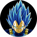 Avis de Vegeta.r avec une note de 1 sur 5