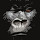 mktgue...@gmail.com's profile photo
