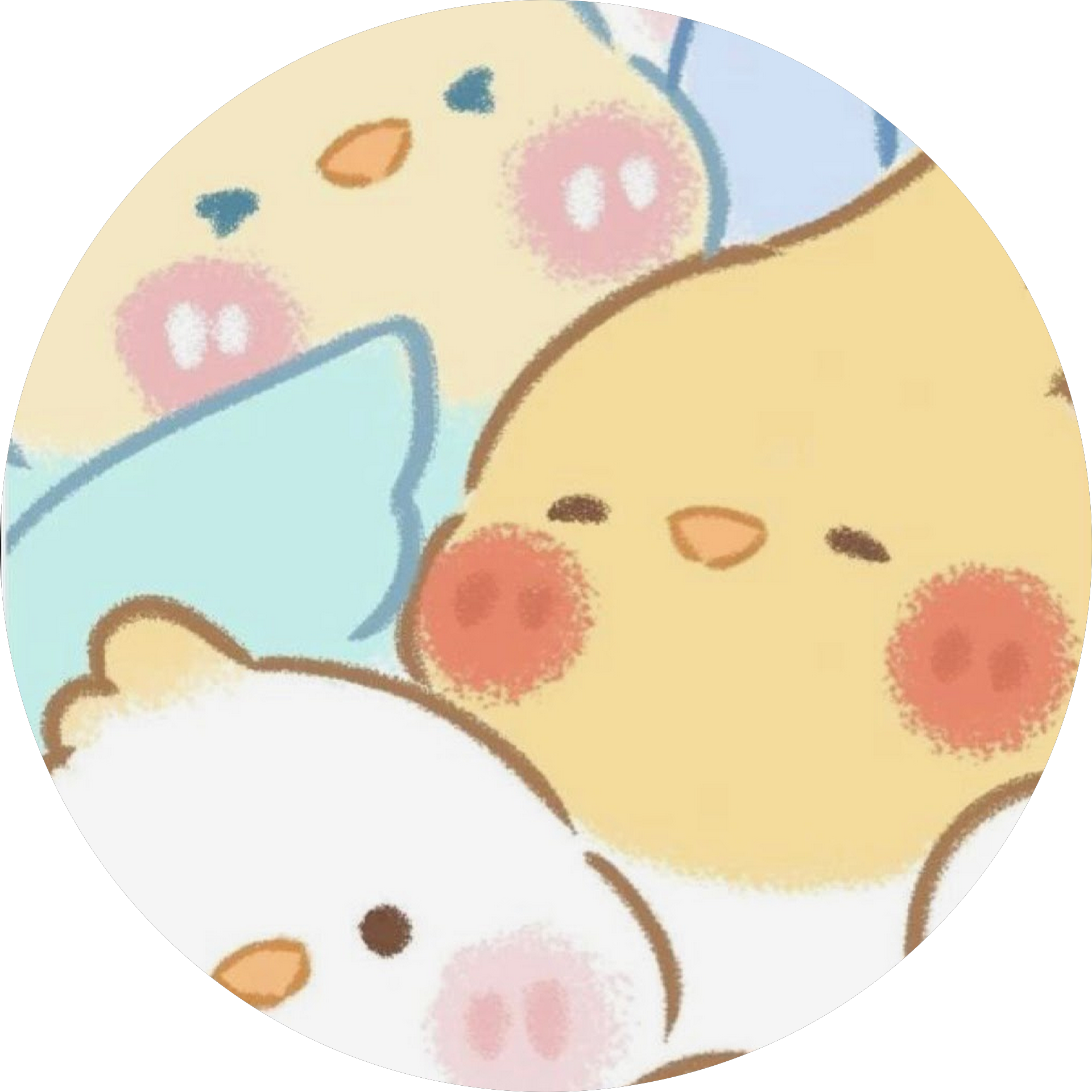 GABRIELA ZANDONADI MAGALHAES