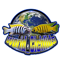 World Cichlids