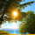 Lucas de Jesus Rodrigues Lucas's profile photo