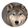 pkupi...@gmail.com's profile photo