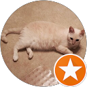 Faye Young's profile image