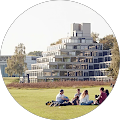 Norwich Story Walks - 