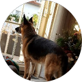 Avatar du profil de Edgar Radermacher
