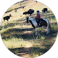 Kindred Collective - Crawford, Colorado