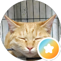 み〰 ko