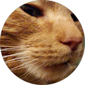 Avatar de Barbara.e