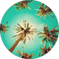 Avatar de Audrey.2