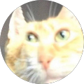 Avatar de DOZO.