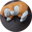 チームサビオラ